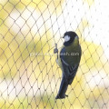 Anti Bird Net Fruit Tree Safety Plastic Anti Bird Netting Manufactory